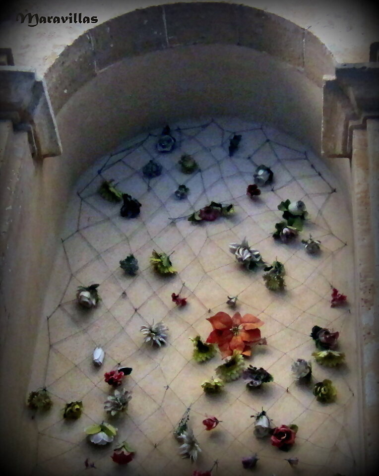 HOJAS, FLORES...