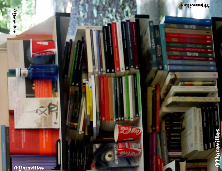 LIBROS AMONTONADOS
