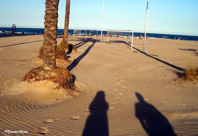 RAÍCES Y SOMBRAS