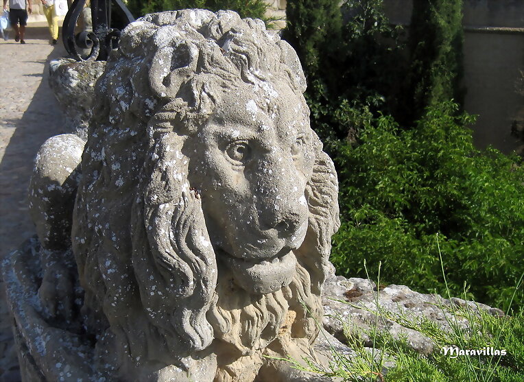 LEONES CUSTODIOS