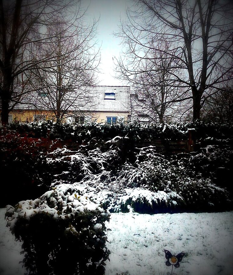 CAE LA NIEVE