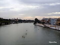 ENT&Eacute;RATE PATRI