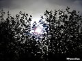 LA LUZ DEL CONOCIMIENTO