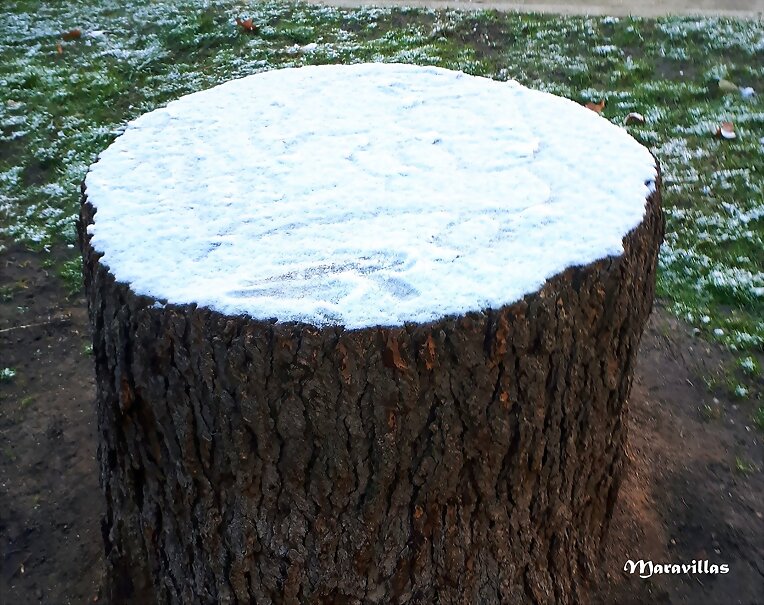 AÑO DE NIEVES