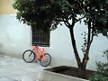 VENTAJAS DE LO FEO