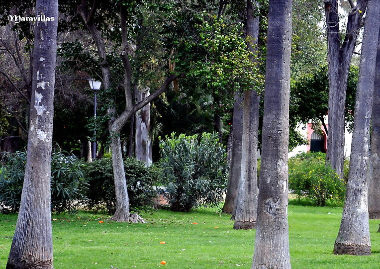 ADÁN Y EVA