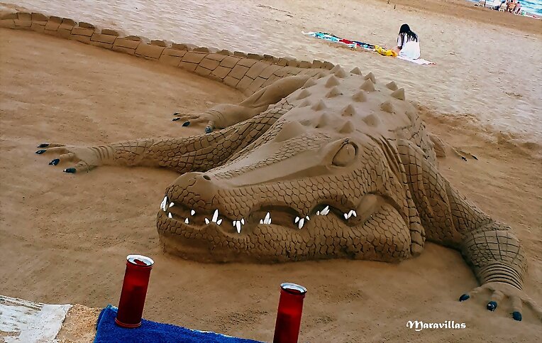 LOS ANIMALES Y EL CALOR