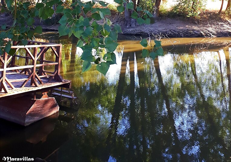 EL LAGO DEL BUEN AMOR