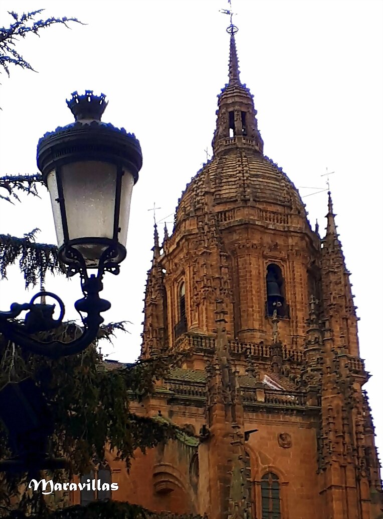 TENDENCIA A LA EXAGERACIÓN