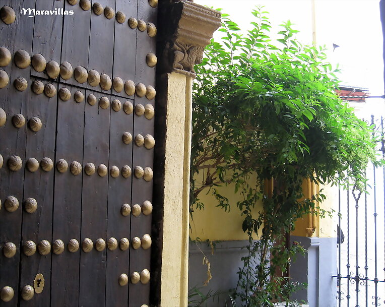 PUERTA ABIERTA