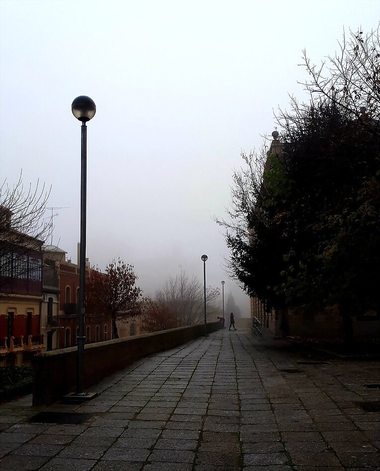 LO QUE LA NIEBLA ESCONDE