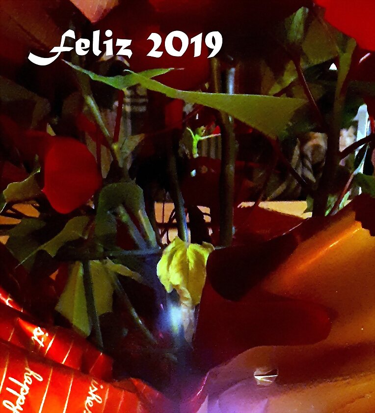 FELIZ AÑO NUEVO