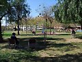 FELIZ DOMINGO &iexcl;&iexcl;