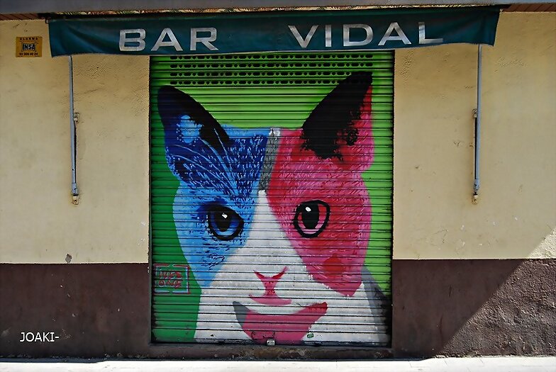 ARTE CALLEJERO-GRAFITIS-MURALES -11-