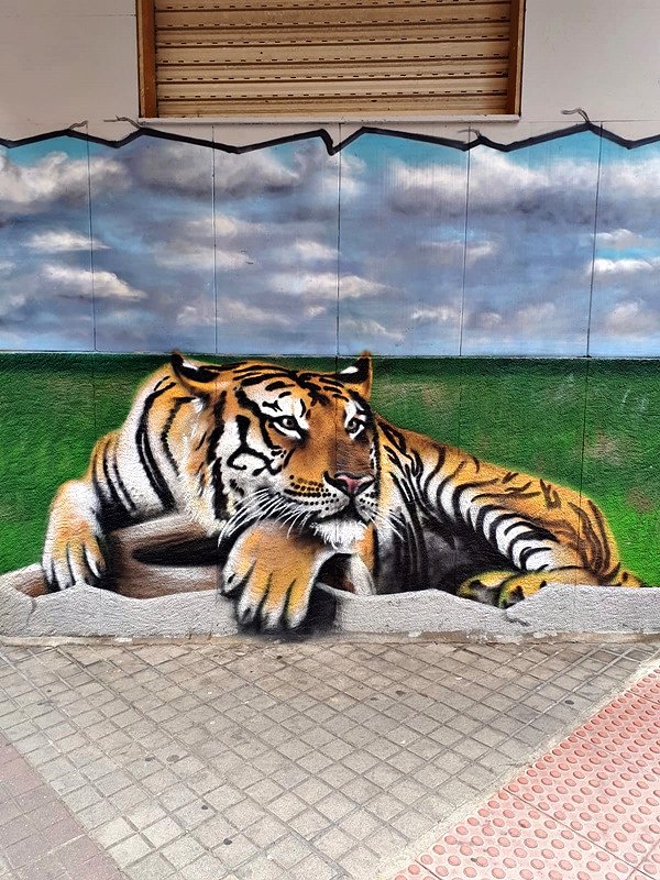 ARTE CALLEJERO-GRAFITIS-MURALES -25-