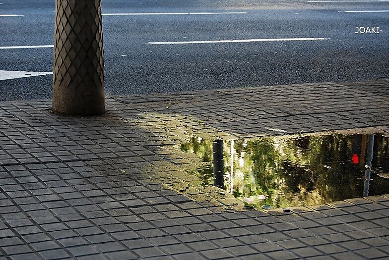DETALLESCURIOSOS- 23-