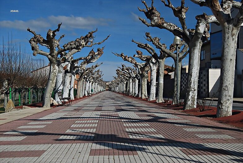 MALLÉN -