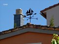 VELETAS -81-