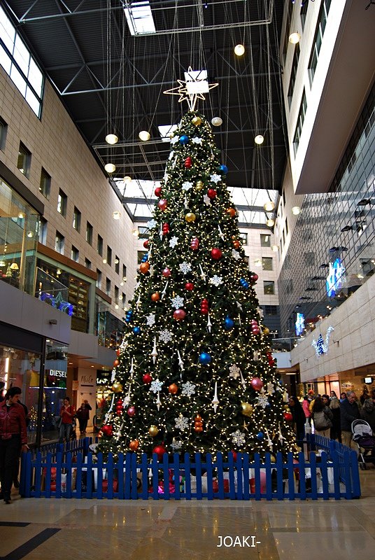 "VEN A MI CASA ESTA NAVIDAD..."
