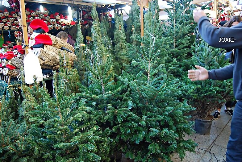 "VEN A MI CASA ESTA NAVIDAD..."