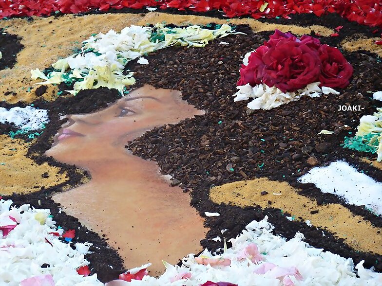 ALFOMBRAS DE FLORES .Caldes de Montbui-