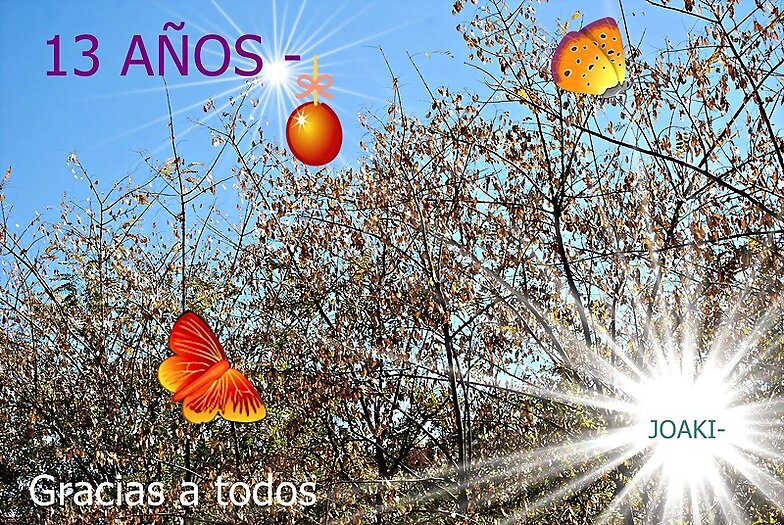 COSAS QUE OS CUENTO- 35-