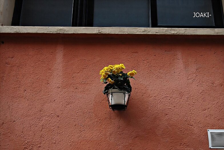 DETALLESCURIOSOS- -35-