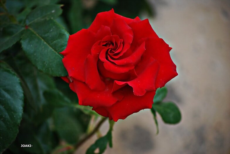 BUEN FIN DE SEMANA .¡¡