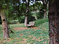 UN PASEO POR ....33-(22)-LA COLONIA G&Uuml;ELL-BCN