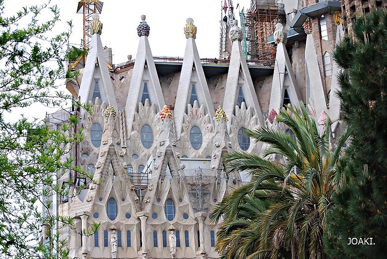 "LA SAGRADA FAMILIA ,FOTO A FOTO".113-