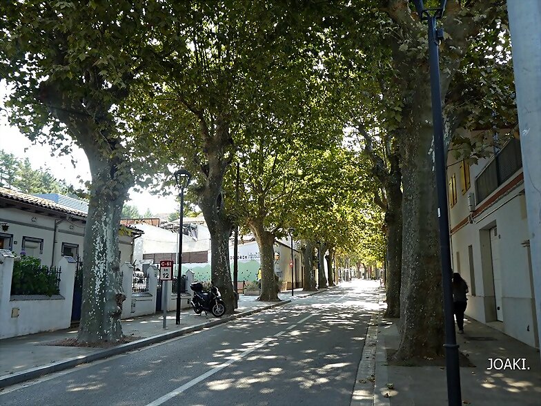 UN PASEO POR...40 (4) VALLGORGUINA -Barcelona .