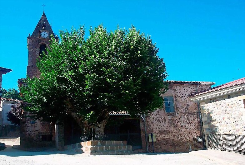 ARBOLES CON HISTORIA -139-