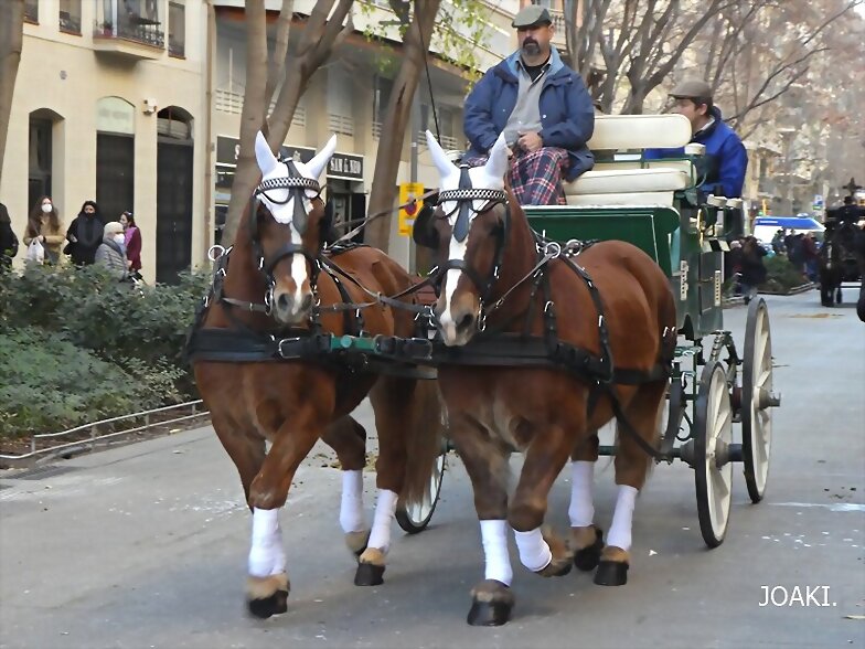 COSAS QUE OS CUENTO- 40-(Y 3) -TRES TOMBS.