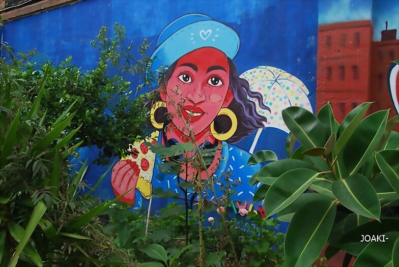 ARTE CALLEJERO-GRAFITIS-MURALES -99-