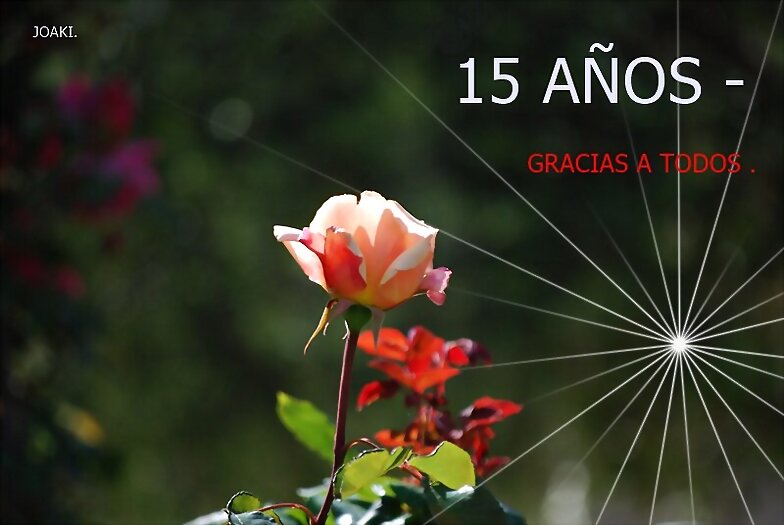 COSAS QUE OS CUENTO- 44-