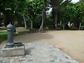 FELIZ DOMINGO &iexcl;&iexcl;