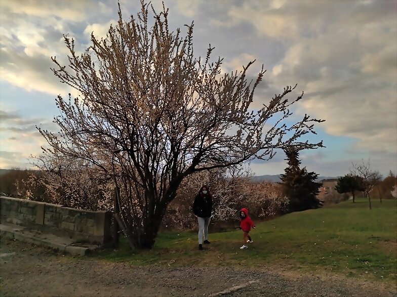 ARBOLES CON HISTORIA -158-