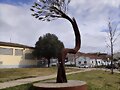 ARBOLES CON HISTORIA -159-
