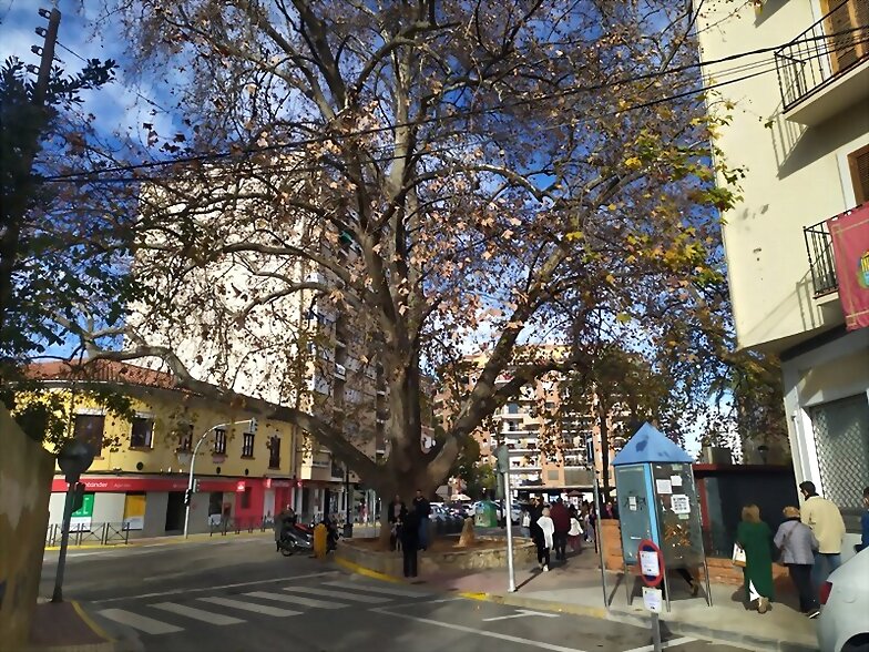 LOS ARBOLES .-171-