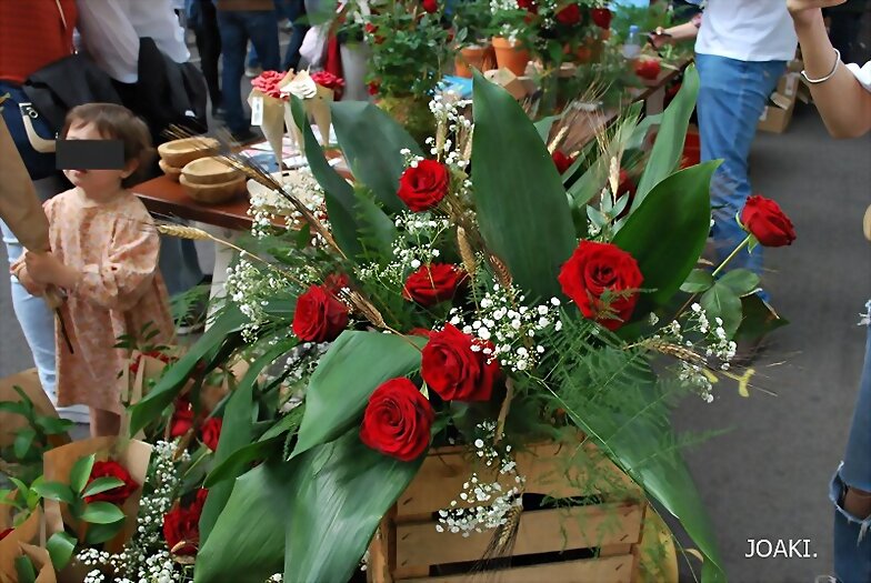 ESPECIAL SANT JORDI 2.023 (3)-