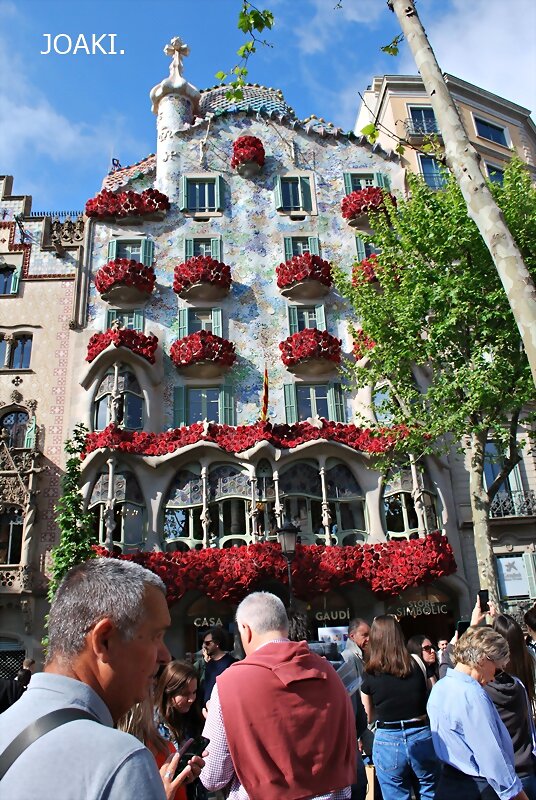 ESPECIAL SANT JORDI 2.023 (y 4 .)