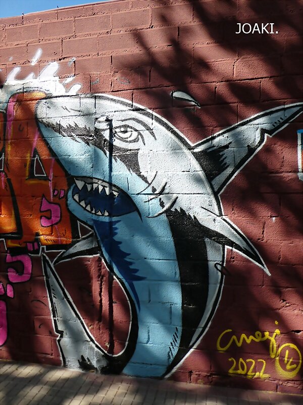 ARTE CALLEJERO-140-
