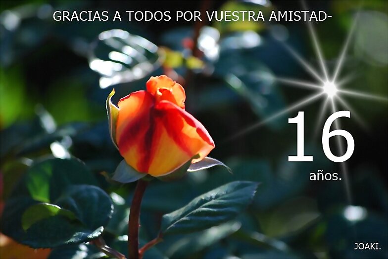 ESPECIAL 16 AÑOS .