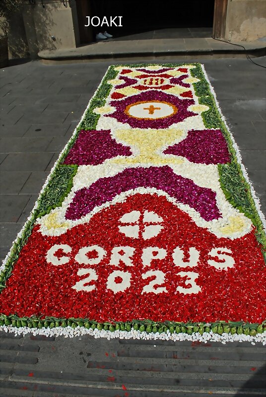 CORPUS 2.023.ESPECIAL "ALFOMBRAS DE FLORES"-y 2-