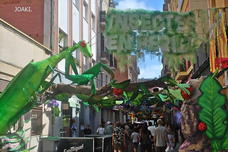 ESPECIAL FIESTAS DE GRACIA 2.023-6-