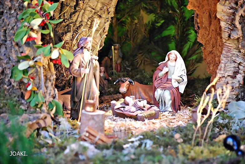 ESPECIAL NAVIDAD 2.023- 14
