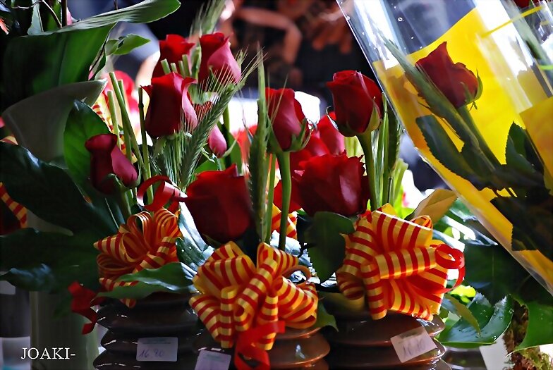 ESPECIAL SANT JORDI 2.024 -2-