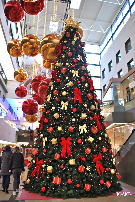 FELIZ DOMINGO ¡¡ NAVIDAD 2024.