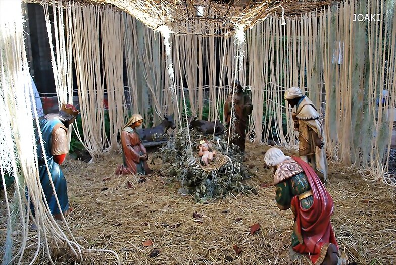 ESPECIAL NAVIDAD 2024-5-