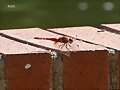 FIN DE SEMANA -EL BAUL DE LOS RECUERDOS .2-